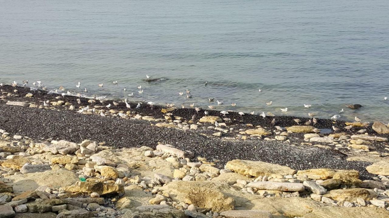 La Naturelle 119 Wimereux Ngoại thất bức ảnh